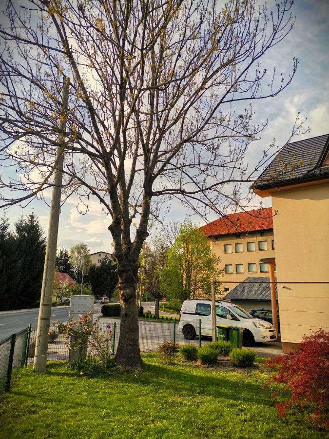 Apartma Vila Tara Prebold ภายนอก รูปภาพ